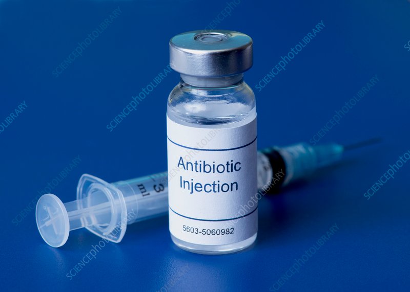 INJECTION FOR ANTIBIOTIC